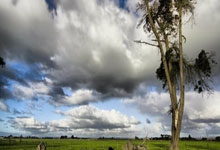 2021年欧洲杯赛程什么时候开始？